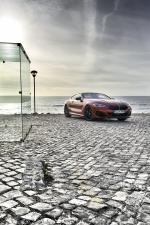 BMW M850i xDrive Carbon Package 2018 года (WW)
